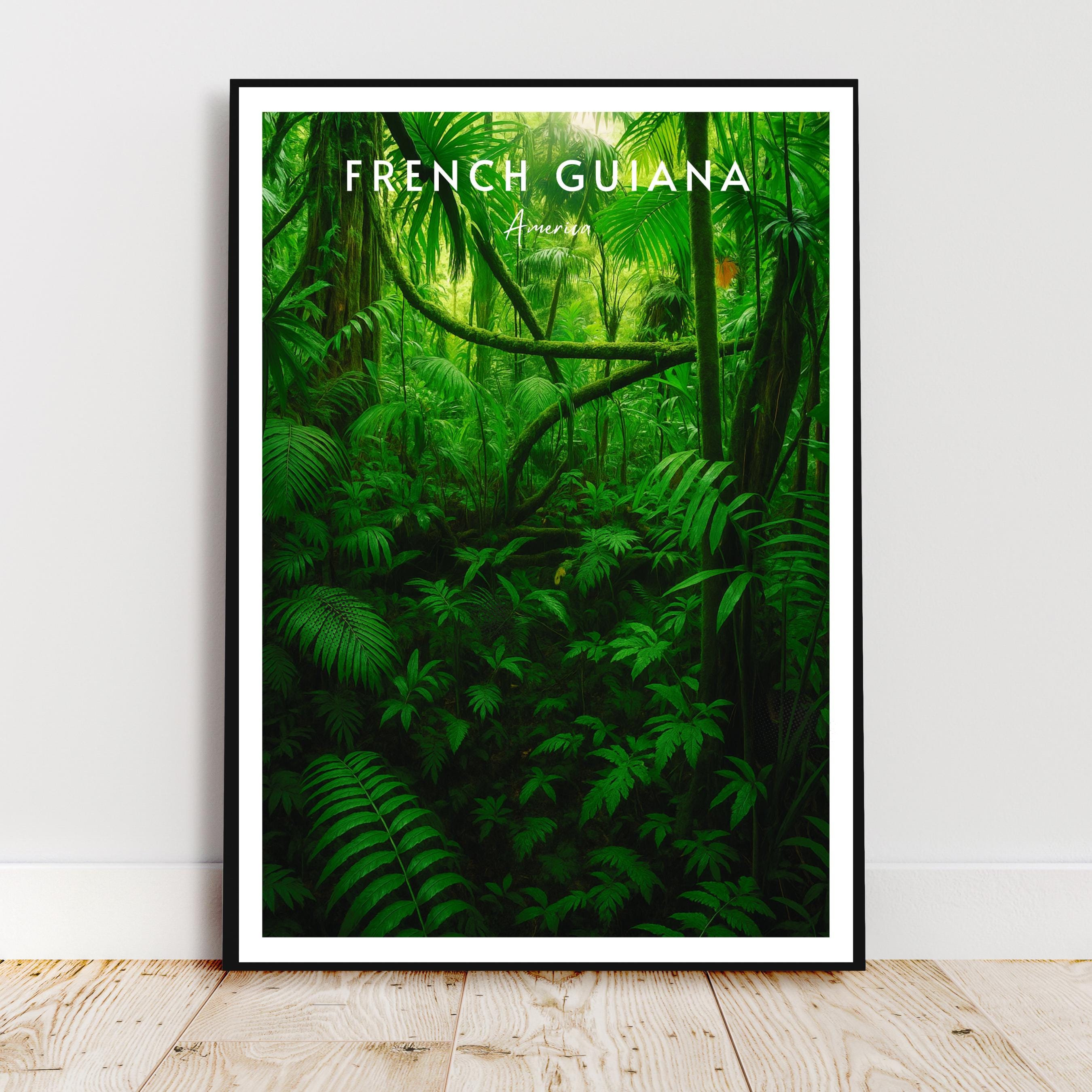 Affiche voyage - Guyane Française, Amerique, Amazonie, Forêt Amazonienne - art moderne, impression, poster